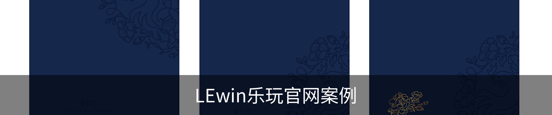 LEwin乐玩官网案例